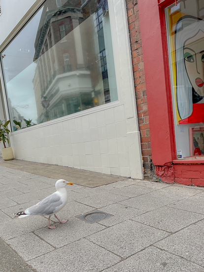 RebeccaGoldberg_Residency_ModjaModjaHouse_640px_1.24×1-3