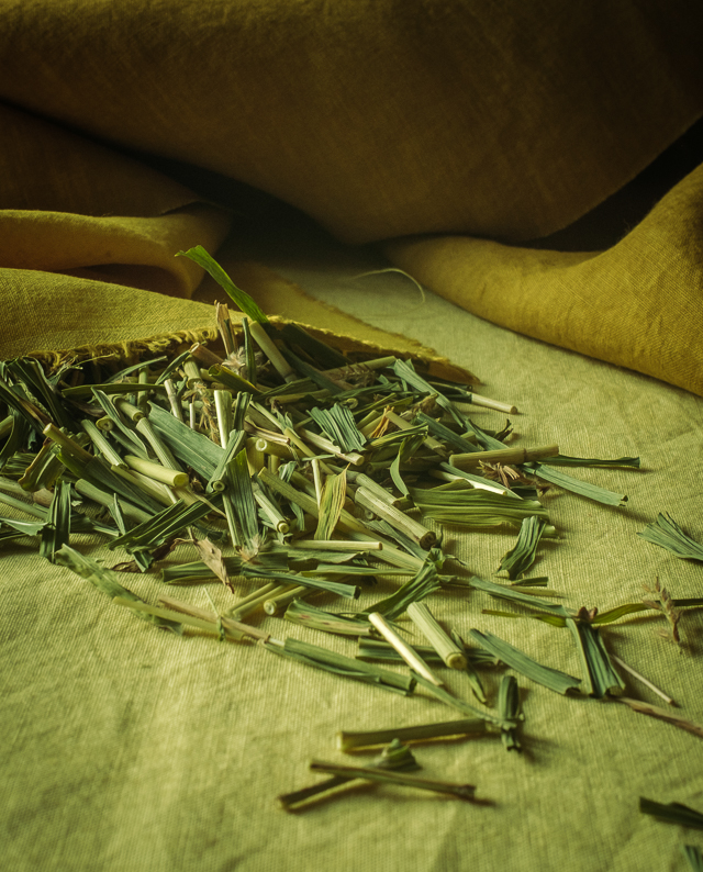 Japanese Dye Workshop Kariyasu