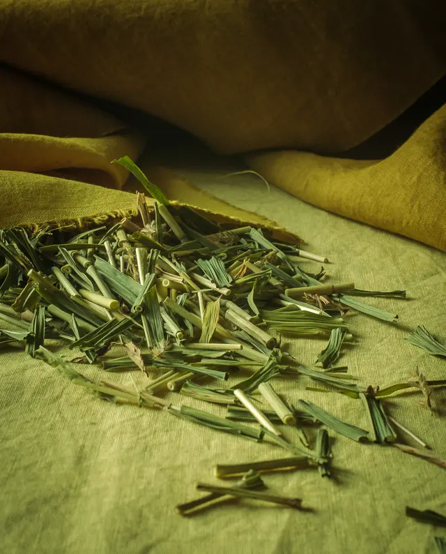 Japanese Dye Workshop: Kariyasu